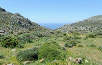 Le village de Patsianos en Crète. La mer de Lybie vue depuis Kallikratis. Cliquer pour agrandir l'image dans Adobe Stock (nouvel onglet).