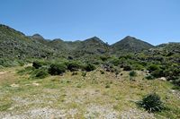 Le village de Patsianos en Crète. La garrigue crétoise ou phrygana près de Kallikratis. Cliquer pour agrandir l'image dans Adobe Stock (nouvel onglet).
