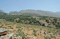 La ville de Sfakia en Crète. La sortie des gorges d'Imbros près de Komitades. Cliquer pour agrandir l'image.