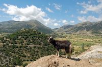 La ville de Sfakia en Crète. Le plateau d'Askyfou vu depuis le col de Xylodema (auteur Patrick van den Bulck). Cliquer pour agrandir l'image dans Panoramio (nouvel onglet).