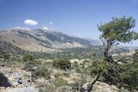 La ville de Sfakia en Crète. Le plateau de Krapi vu du belvédère (auteur Tiger0810). Cliquer pour agrandir l'image dans Panoramio (nouvel onglet).