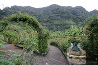 Le village d'Arco de São Jorge. Roseraie, quinta do Arco. Cliquer pour agrandir l'image.