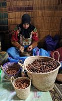 Le village d'Ounagha au Maroc. Production huile argan. Cliquer pour agrandir l'image.