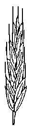 Image.